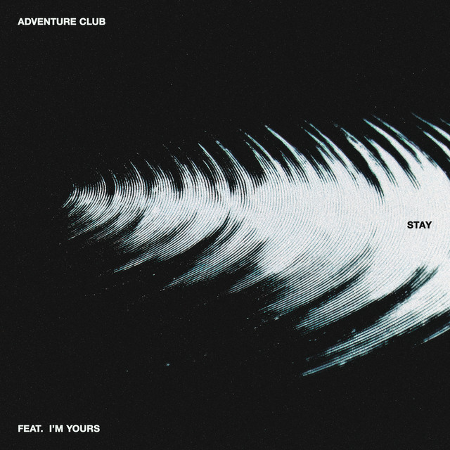 Stay artwork